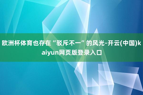欧洲杯体育也存在“驳斥不一”的风光-开云(中国)kaiyun网页版登录入口