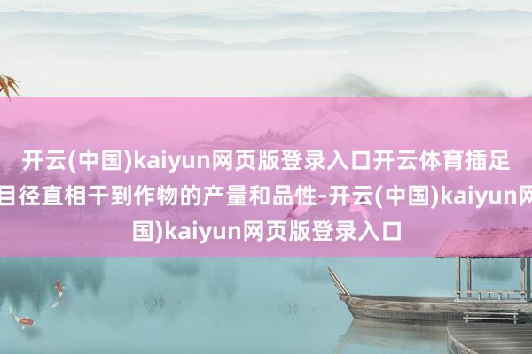 开云(中国)kaiyun网页版登录入口开云体育插足品的种类和数目径直相干到作物的产量和品性-开云(中国)kaiyun网页版登录入口