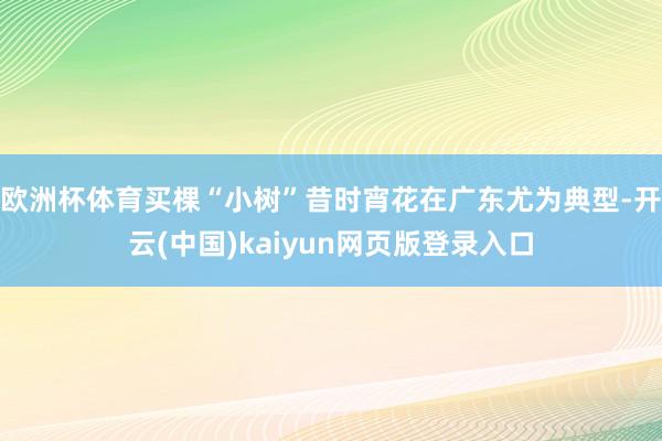 欧洲杯体育买棵“小树”昔时宵花在广东尤为典型-开云(中国)kaiyun网页版登录入口