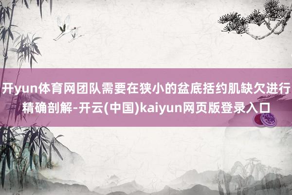 开yun体育网团队需要在狭小的盆底括约肌缺欠进行精确剖解-开云(中国)kaiyun网页版登录入口