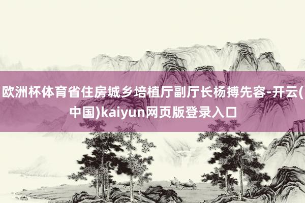 欧洲杯体育省住房城乡培植厅副厅长杨搏先容-开云(中国)kaiyun网页版登录入口